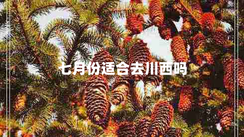 七月份适合去川西吗