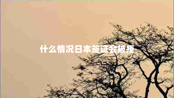 什么情况日本签证会被拒