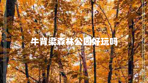 牛背梁森林公园好玩吗
