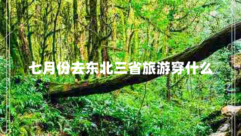 七月份去东北三省旅游穿什么