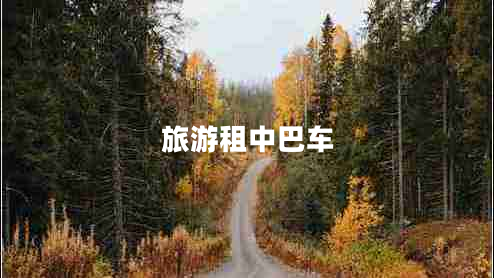 旅游租中巴车