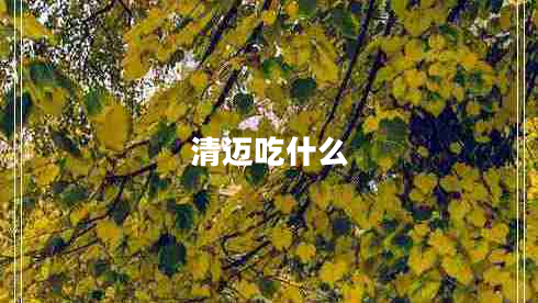 清迈吃什么