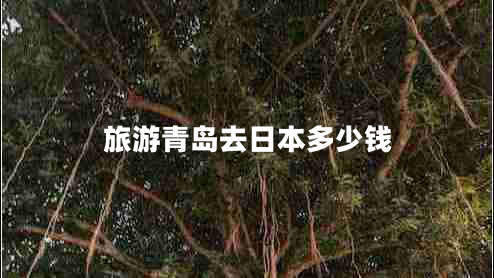 旅游青岛去日本多少钱