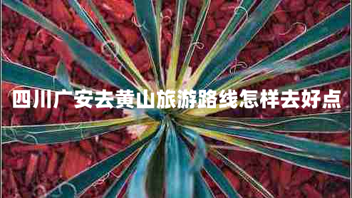 四川广安去黄山旅游路线怎样去好点
