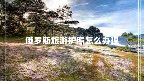 俄罗斯旅游护照怎么办理 俄罗斯旅游护照怎么办理