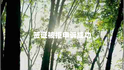 签证被拒申诉成功