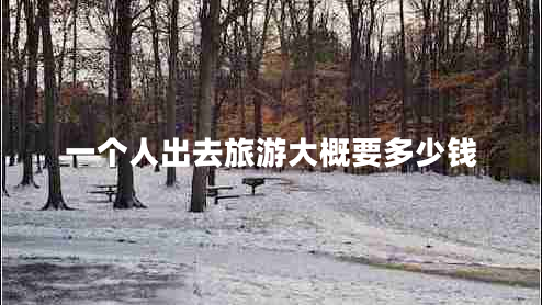 一个人出去旅游大概要多少钱