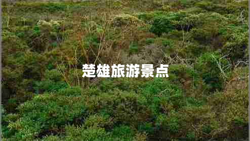 楚雄旅游景点