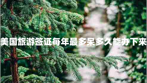 美国旅游签证每年最多呆多久能办下来