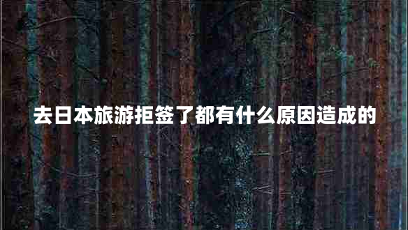 去日本旅游拒签了都有什么原因造成的