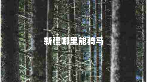 新疆哪里能骑马