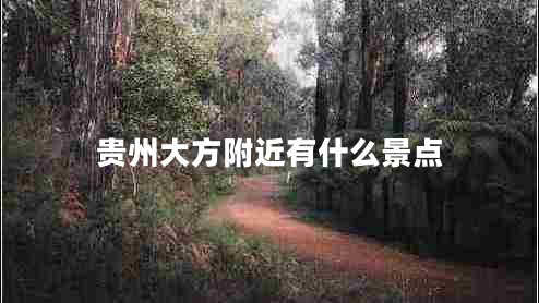 贵州大方附近有什么景点