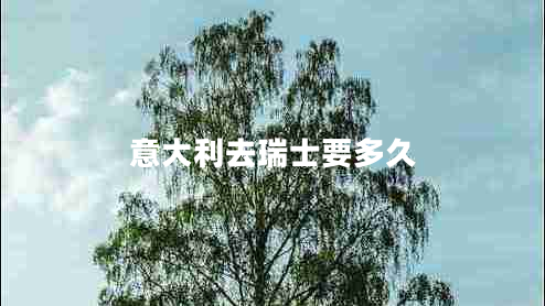 意大利去瑞士要多久