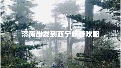 济南出发到西宁旅游攻略