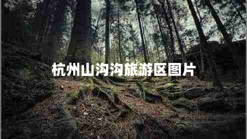 杭州山沟沟旅游区图片