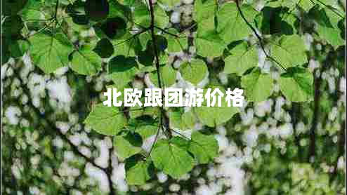 北欧跟团游价格