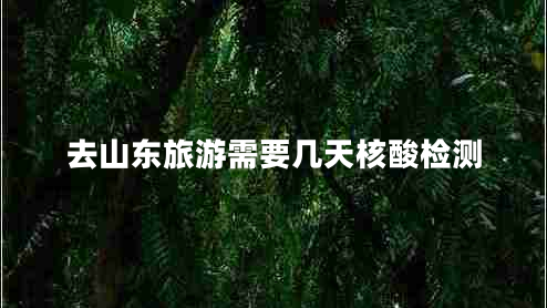 去山东旅游需要几天核酸检测