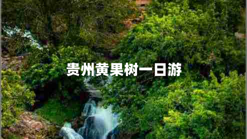 贵州黄果树一日游