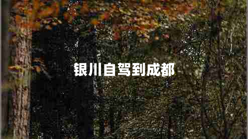 银川自驾到成都
