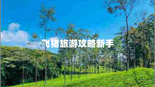 飞猪旅游攻略新手