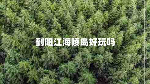 到阳江海陵岛好玩吗