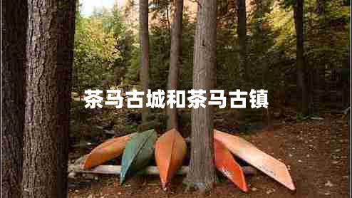 茶马古城和茶马古镇