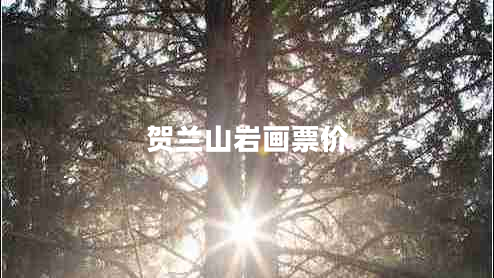 贺兰山岩画票价