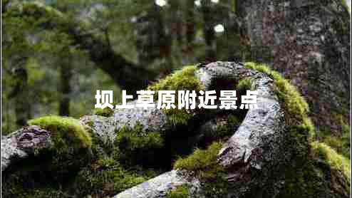 坝上草原附近景点
