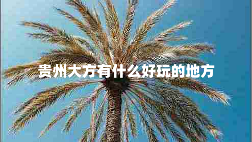 贵州大方有什么好玩的地方
