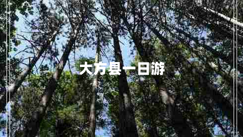 大方县一日游