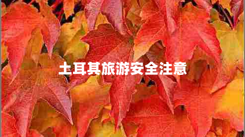 土耳其旅游安全注意 土耳其旅游安全注意