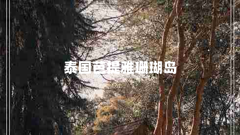 泰国芭提雅珊瑚岛