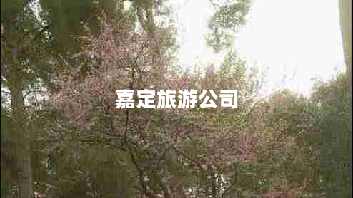 嘉定旅游公司