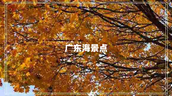 广东海景点