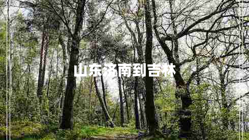 山东济南到吉林