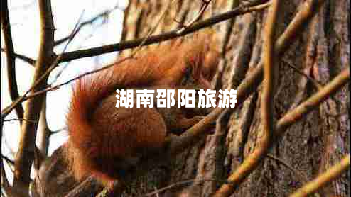 湖南邵阳旅游