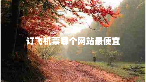 订飞机票哪个网站最便宜