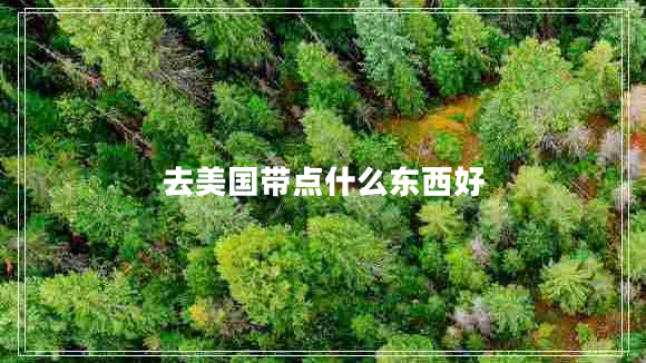 去美国带点什么东西好