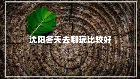 沈阳冬天去哪玩比较好