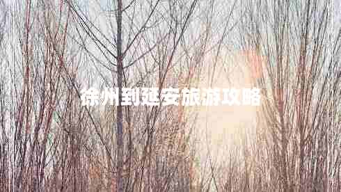徐州到延安旅游攻略
