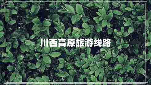 川西高原旅游线路