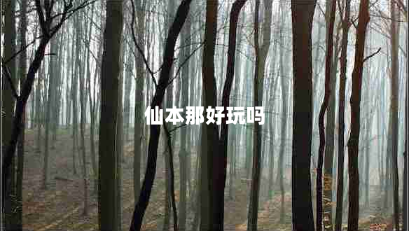 仙本那好玩吗