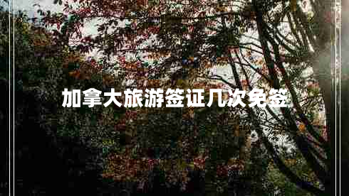 加拿大旅游签证几次免签
