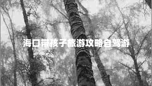 海口带孩子旅游攻略自驾游