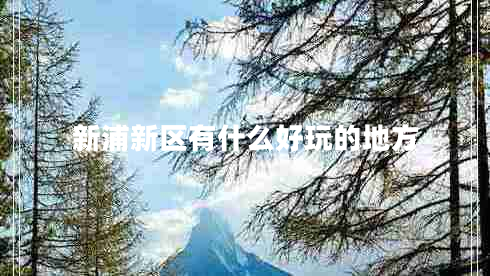 新浦新区有什么好玩的地方