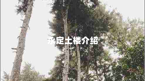 永定土楼介绍
