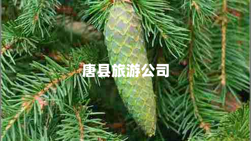 唐县旅游公司