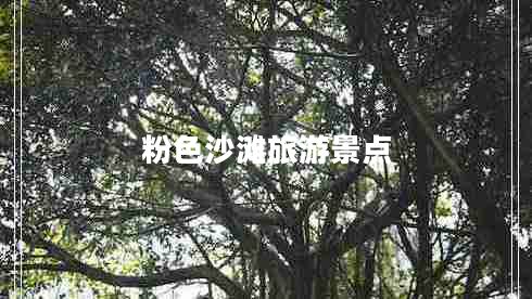 粉色沙滩旅游景点