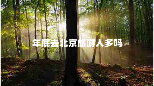 年底去北京旅游人多吗