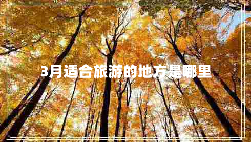 3月适合旅游的地方是哪里